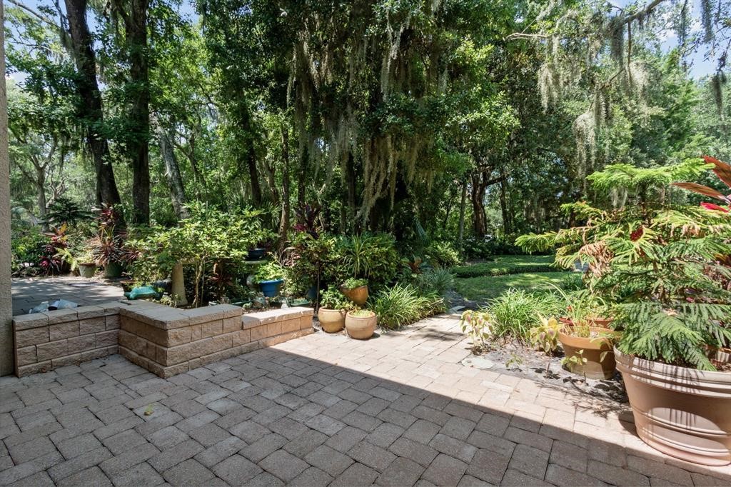 3036 Sea Marsh Road Fernandina Beach, FL 32034 - Photo 31 of 43 a park view with potted plants and large trees