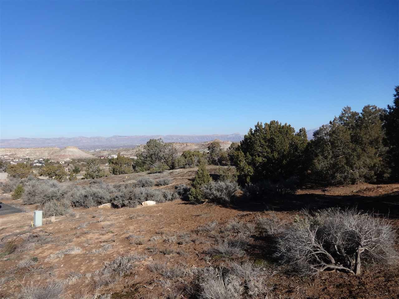 2217 Rimrock Road Grand Junction, CO 81507 - Photo 13 of 15 Gallery Image 13