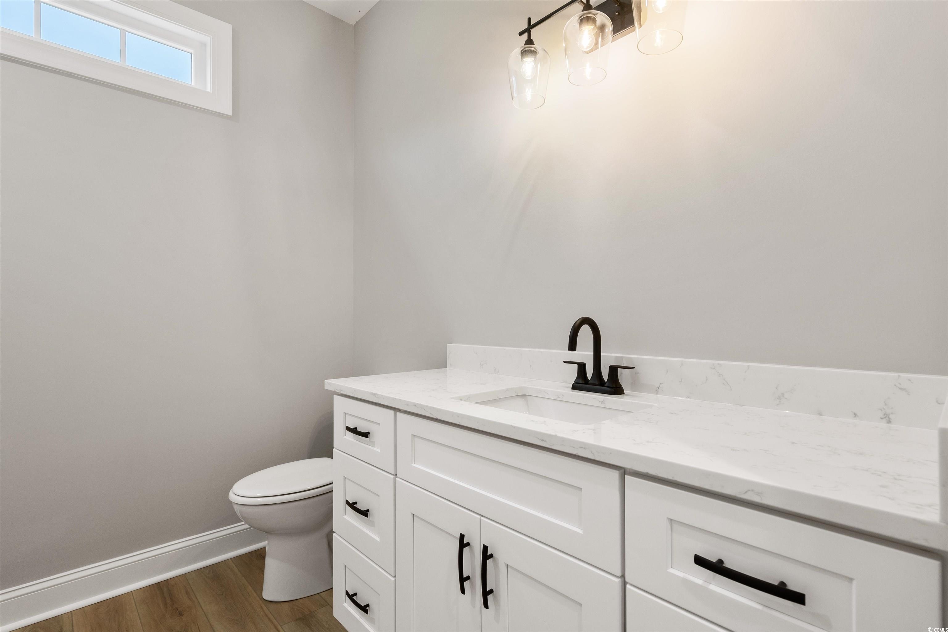 6909 Pauley Swamp Road Conway, SC 29527 - Photo 34 of 40 Bathroom featuring vanity, toilet, and hardwood /