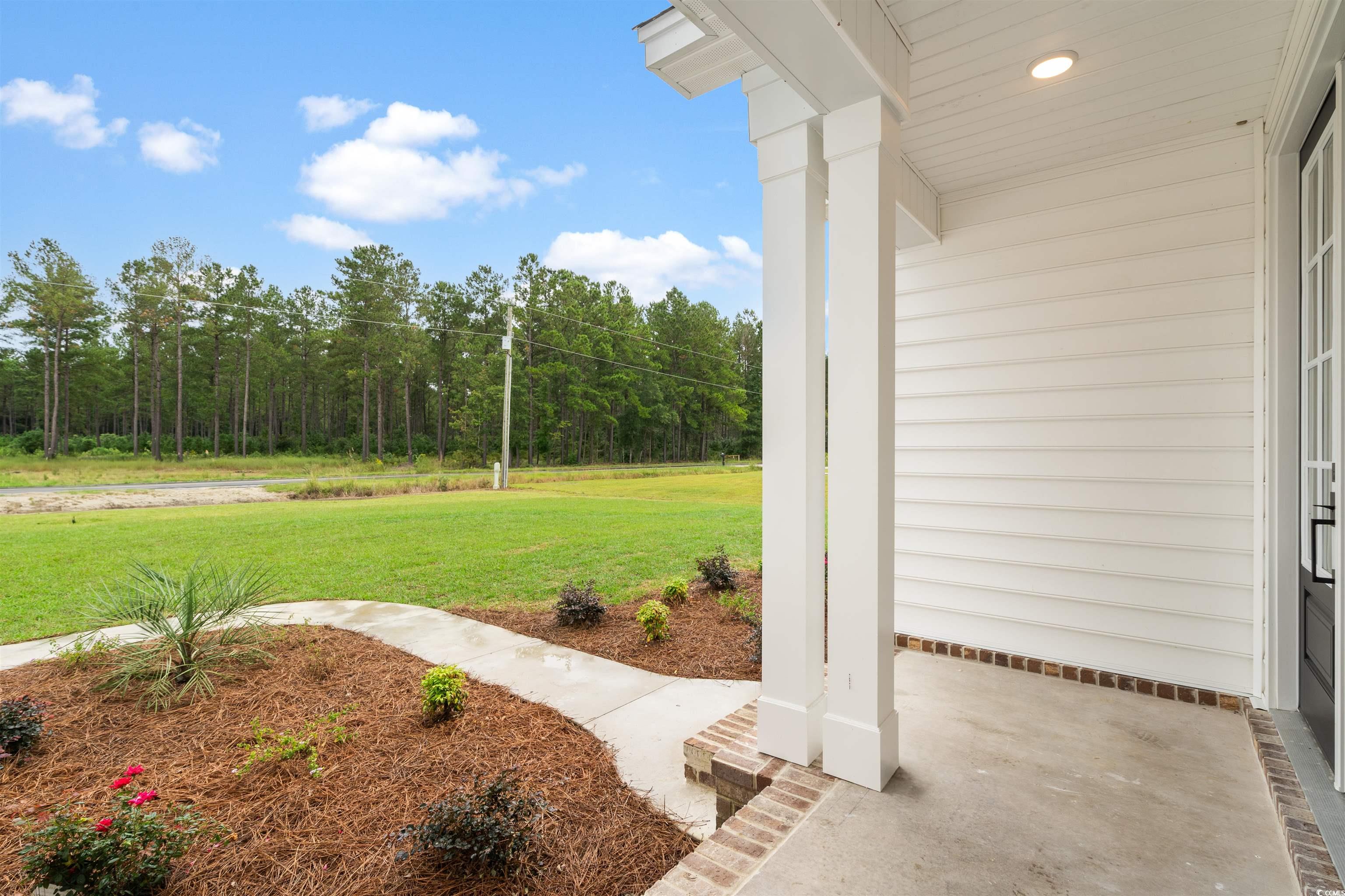 6909 Pauley Swamp Road Conway, SC 29527 - Photo 6 of 40 View of yard