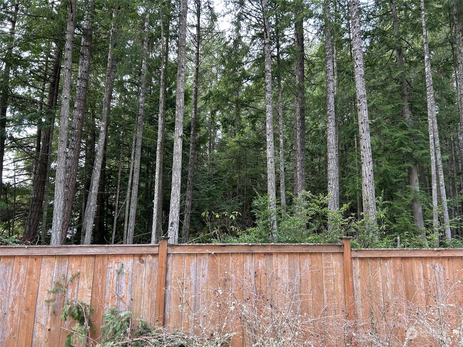 21728 Urdahl Road Northwest Poulsbo, WA 98370 - Photo 5 of 7