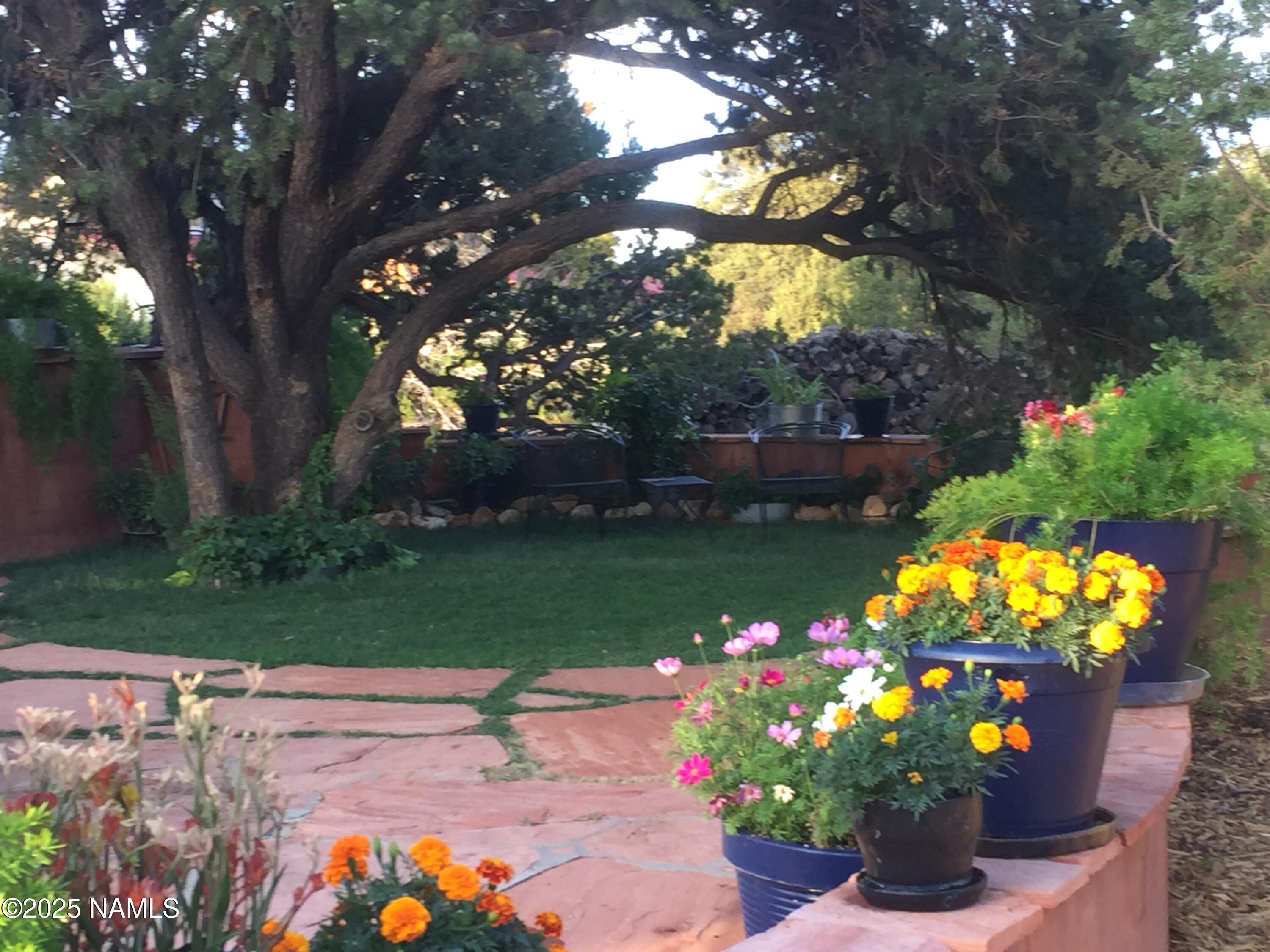 5966 East Camden Road Flagstaff, AZ 86004 - Photo 68 of 70 a street view with flower plants and wooden fence
