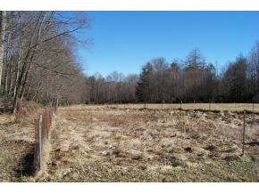 478 Hopper Road Shady Valley, TN 37688 - Photo 14 of 17 LARGE GARDEN FENCED IN