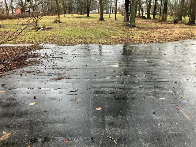 a view of a yard with a dry yard