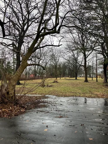 a view of yard with trees