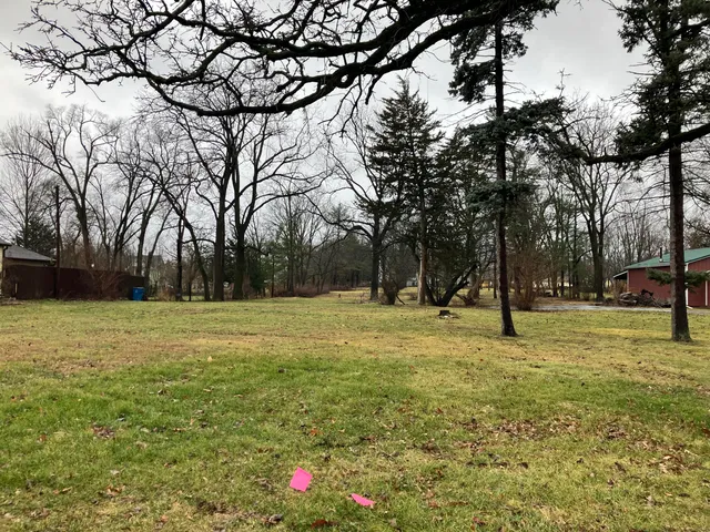 a view of a tree in a yard