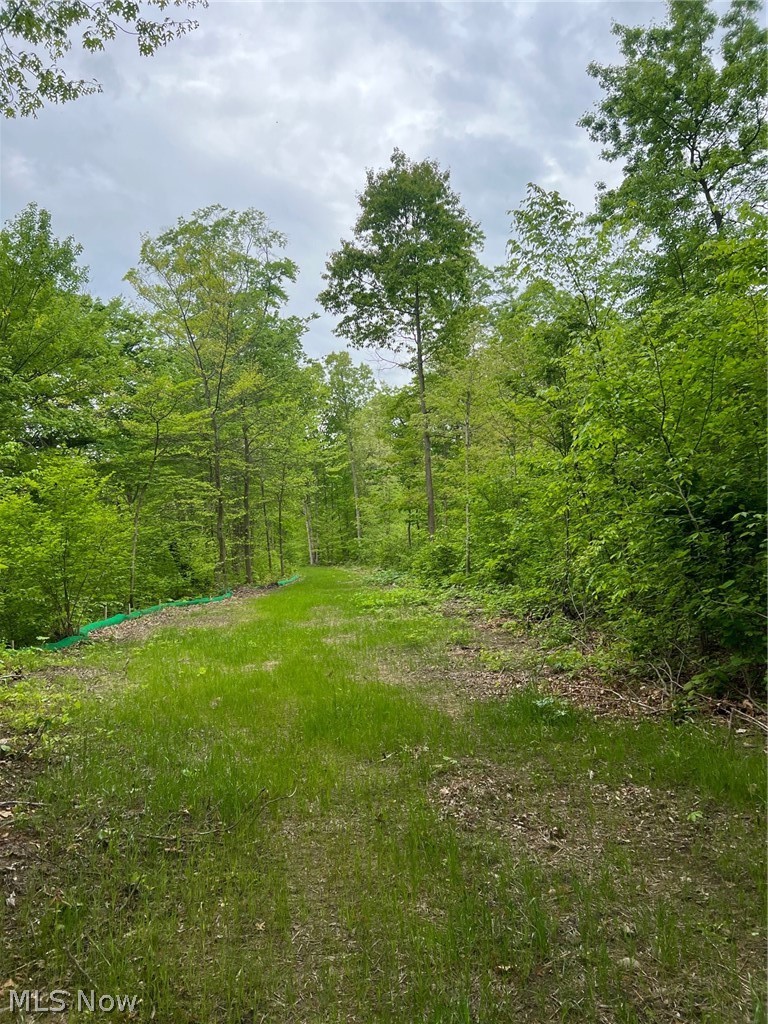 5933 Lakewood Road Ravenna, OH 44266 - Photo 4 of 8