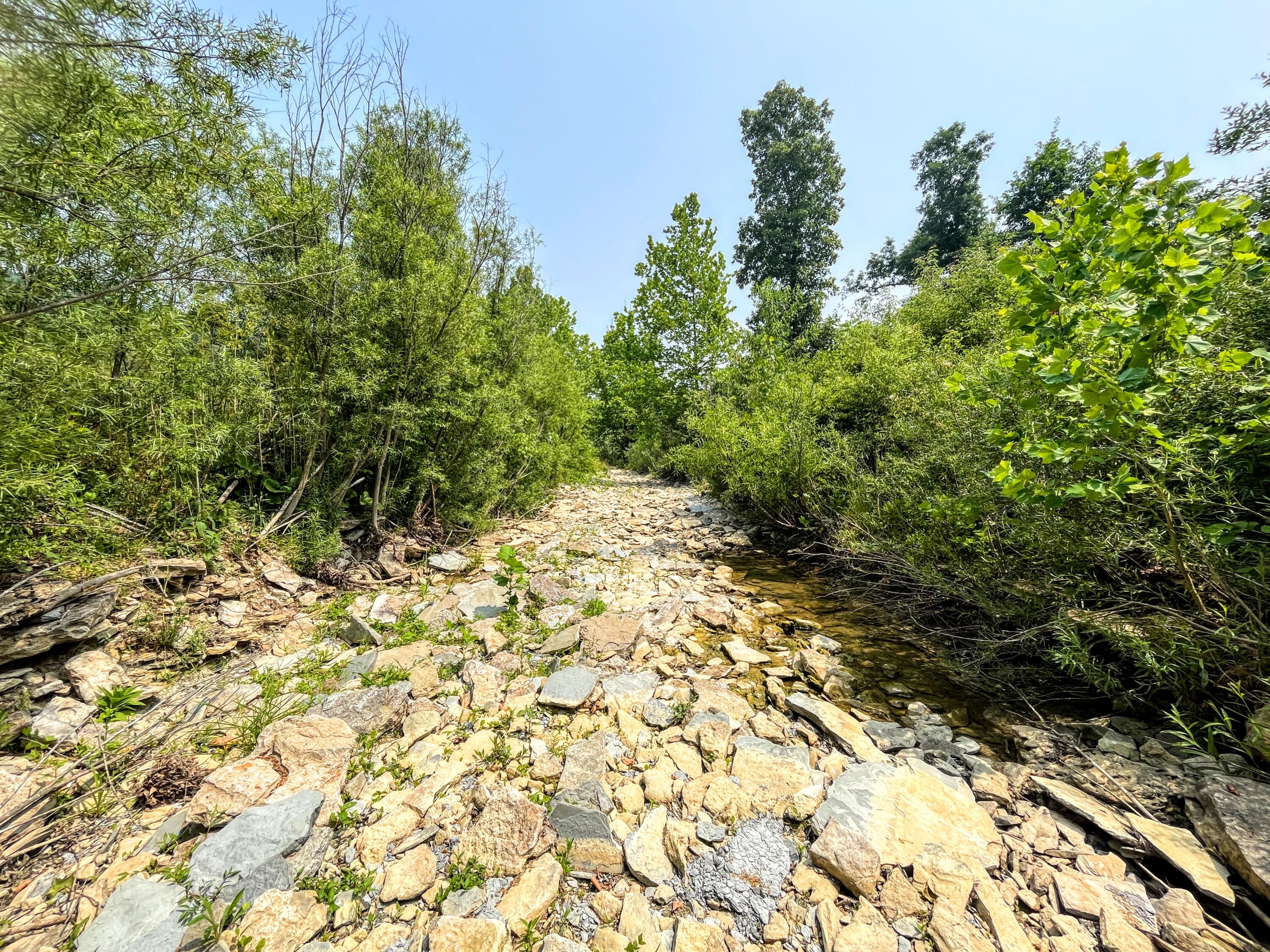 14045 Navaho Road Morning View, KY 41063 - Photo 15 of 50