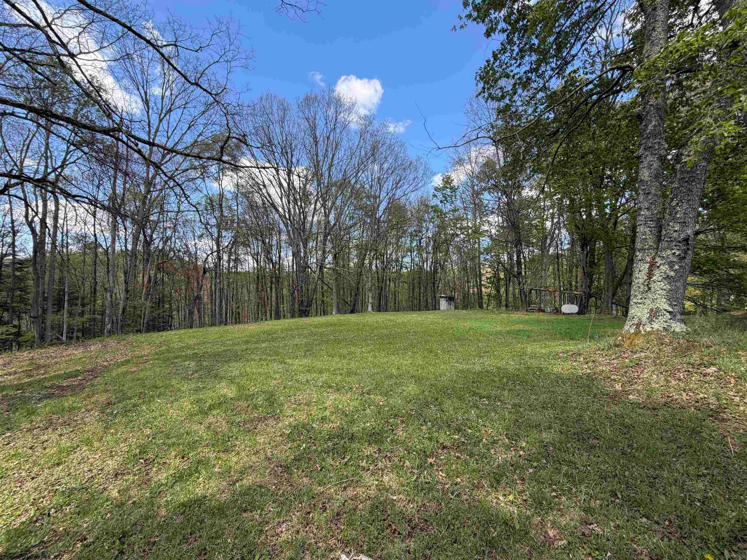 4397 Location Road Parsons, WV 26287 - Photo 38 of 49 Gallery Image 38