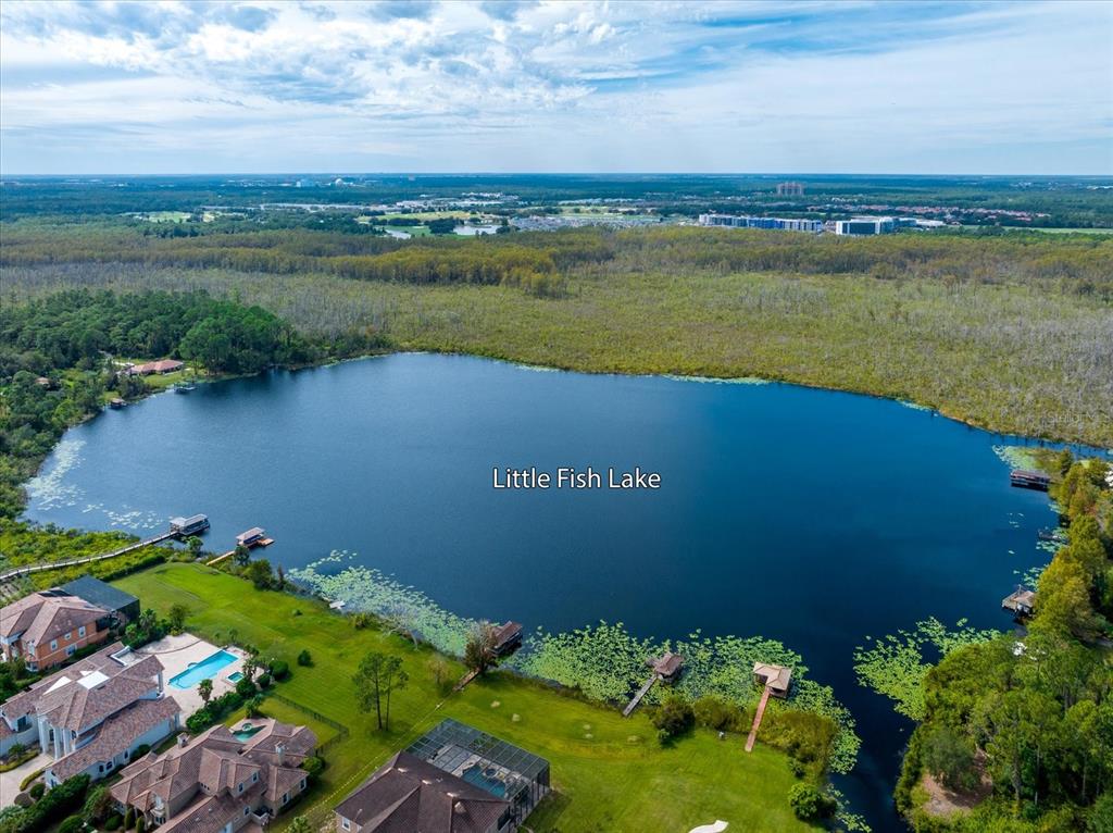 10606 Boca Pointe Drive Orlando, FL 32836 - Photo 4 of 39 a view of a lake with a building in the background