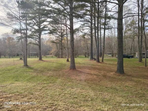 a view of a park with trees