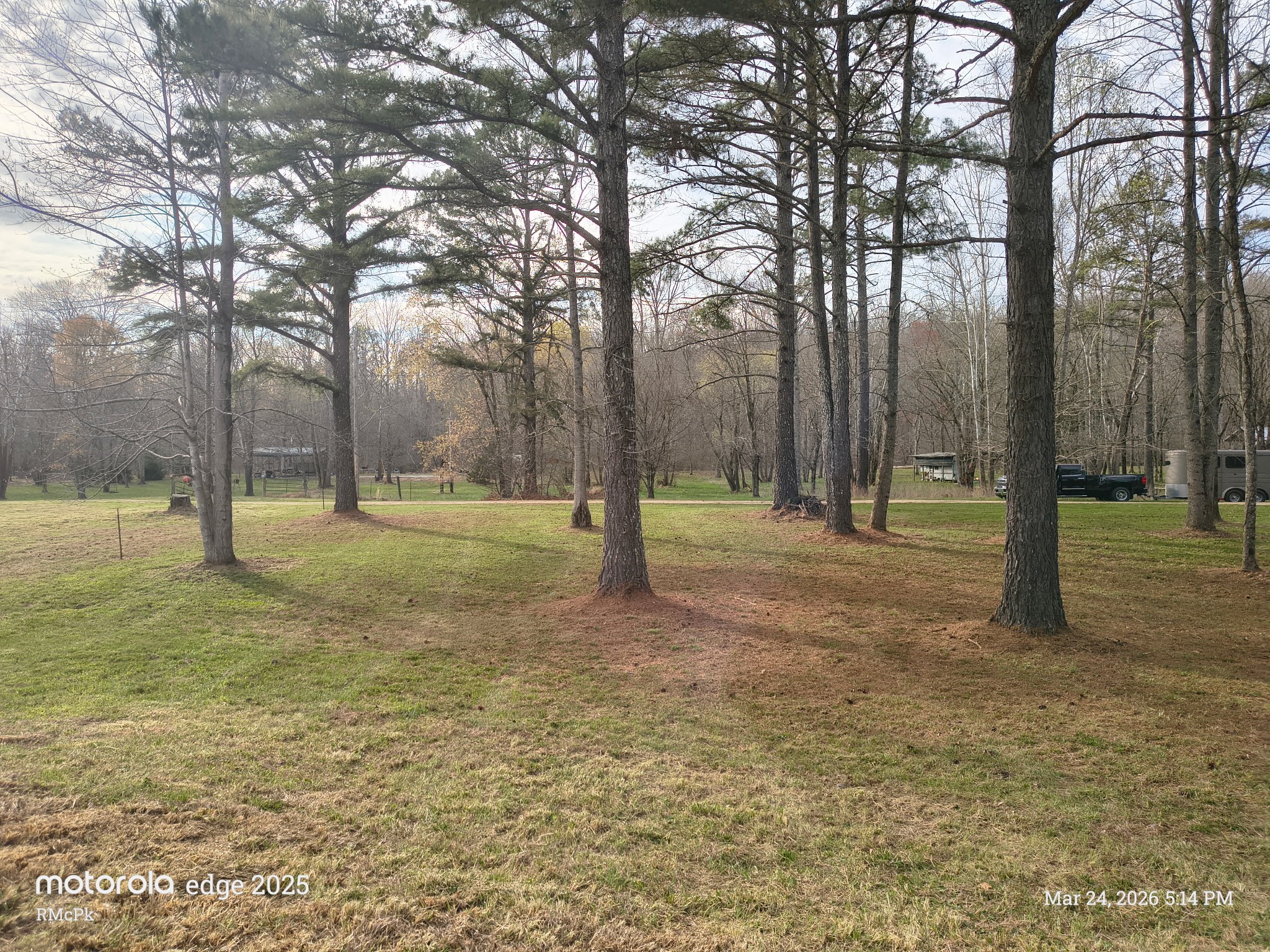 165 Barnes Lake Road Hohenwald, TN 38462 - Photo 3 of 7