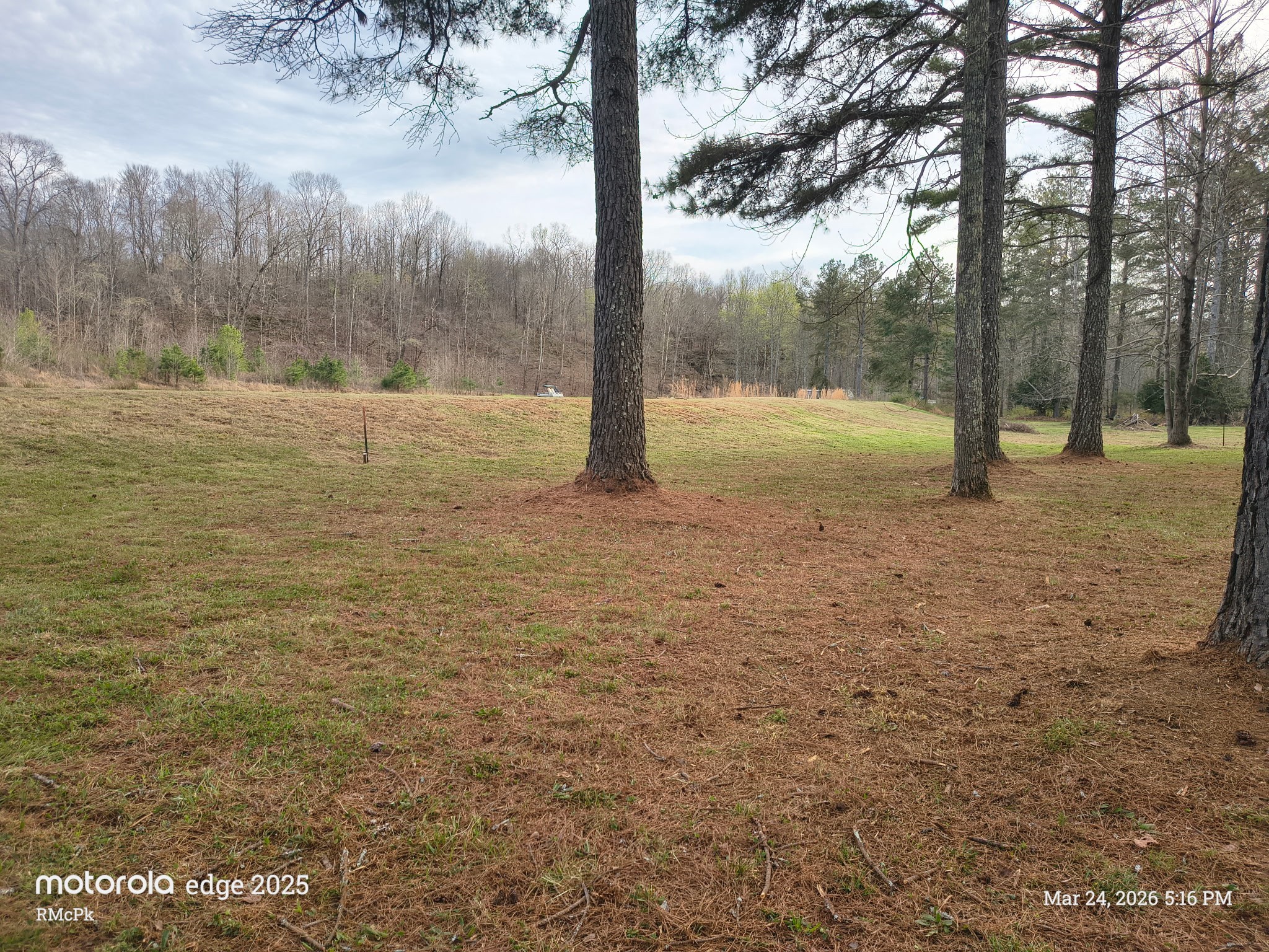 165 Barnes Lake Road Hohenwald, TN 38462 - Photo 6 of 7