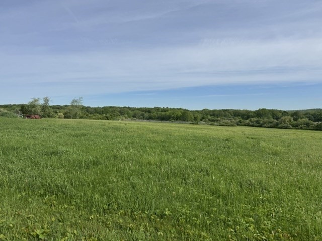 250 West Wrentham Road Cumberland, RI 02864 - Photo 3 of 5