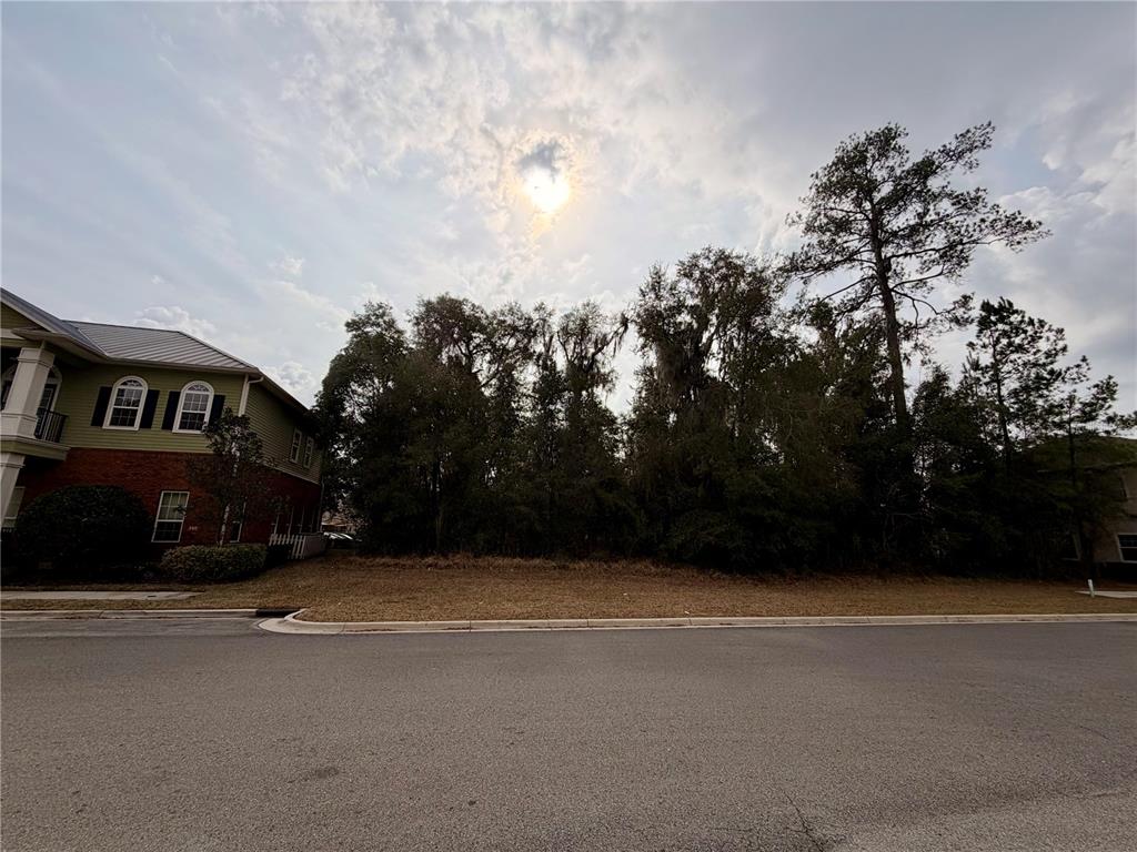 2611 Southwest 87th Drive Gainesville, FL 32608 - Photo 3 of 6 a view of street with with lots of trees