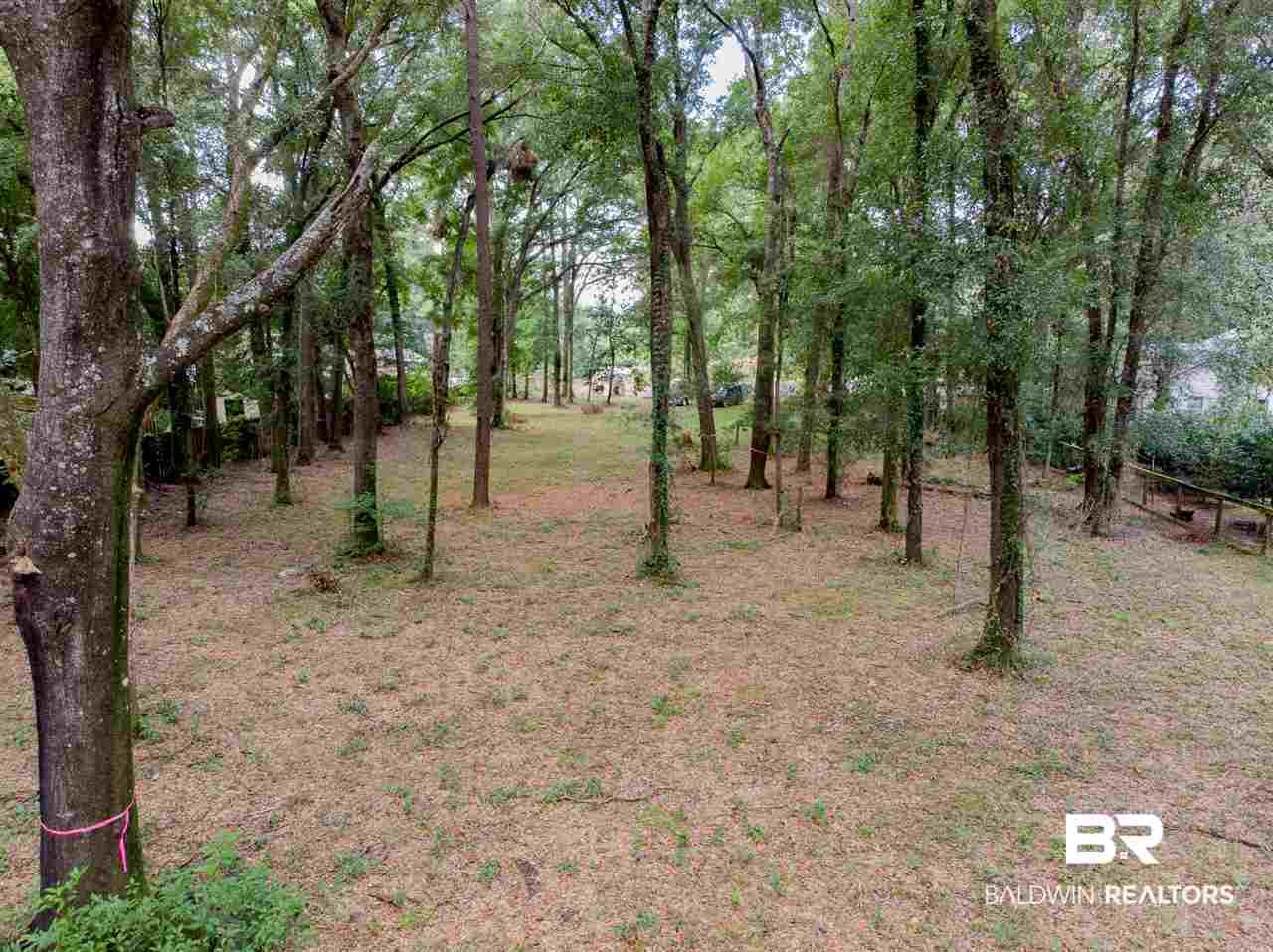 North Mobile Street Fairhope, AL 36532 - Photo 5 of 5