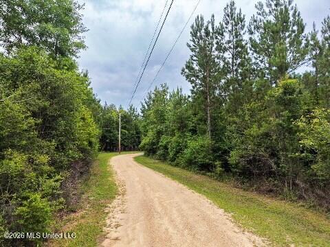 Mcneill Mchenry Road Poplarville, MS 39470 - Photo 13 of 14 13