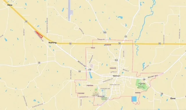 $79,500 | 98 Ea Street, Tylertown, MS 39667