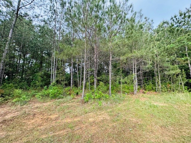 98 Ea Street Tylertown, MS 39667 - Photo 3 of 13 Photo 3