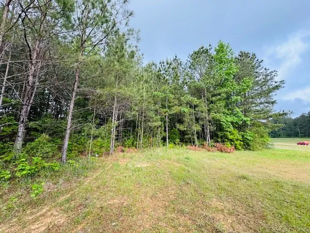 $79,500 | 98 Ea Street, Tylertown, MS 39667