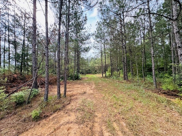 98 Ea Street Tylertown, MS 39667 - Photo 5 of 13 Photo 5