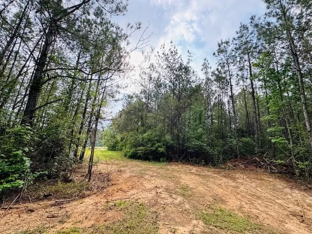 $79,500 | 98 Ea Street, Tylertown, MS 39667