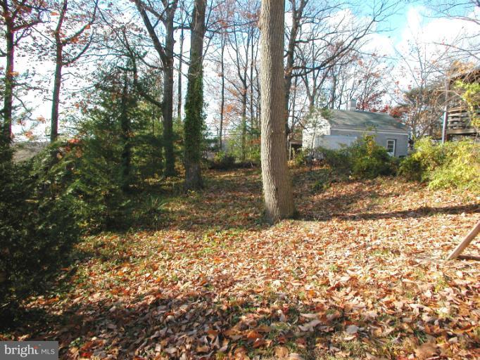 7920 Ridgely Oak Road Parkville, MD 21234 - Photo 6 of 13 a backyard of a house with lots of green space