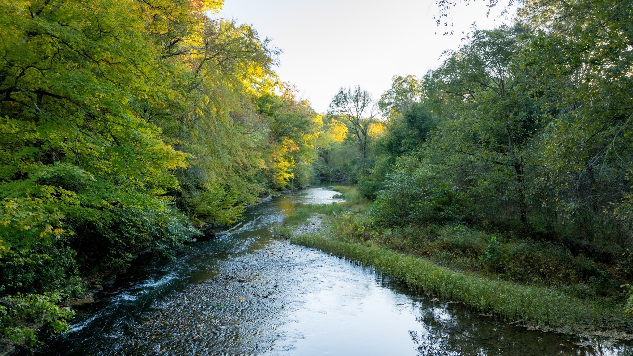 170 Warriors Path Road Summertown, TN 38483 - Photo 14 of 69