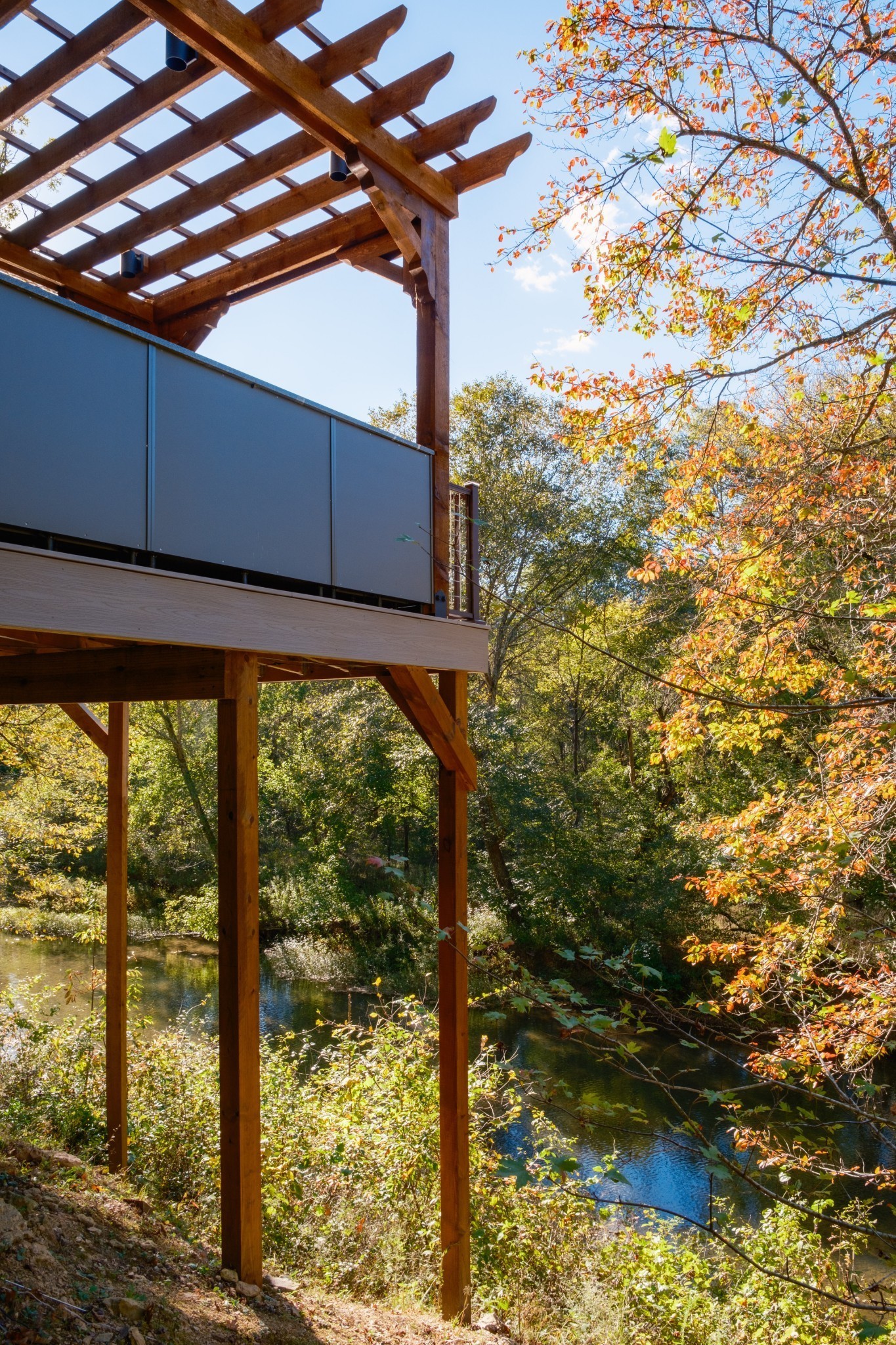 170 Warriors Path Road Summertown, TN 38483 - Photo 19 of 69 a view of large trees