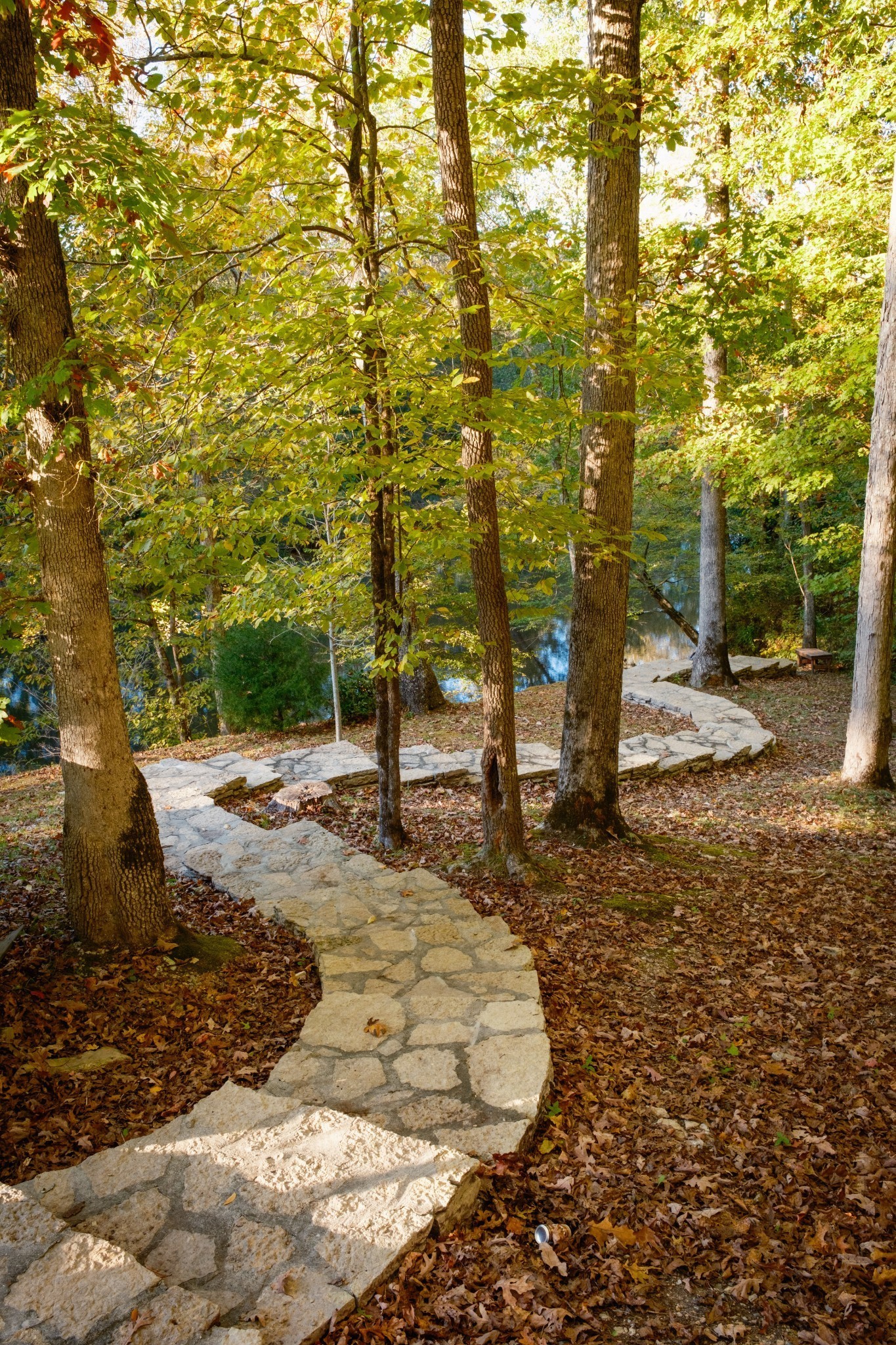 170 Warriors Path Road Summertown, TN 38483 - Photo 24 of 69 a view of yard