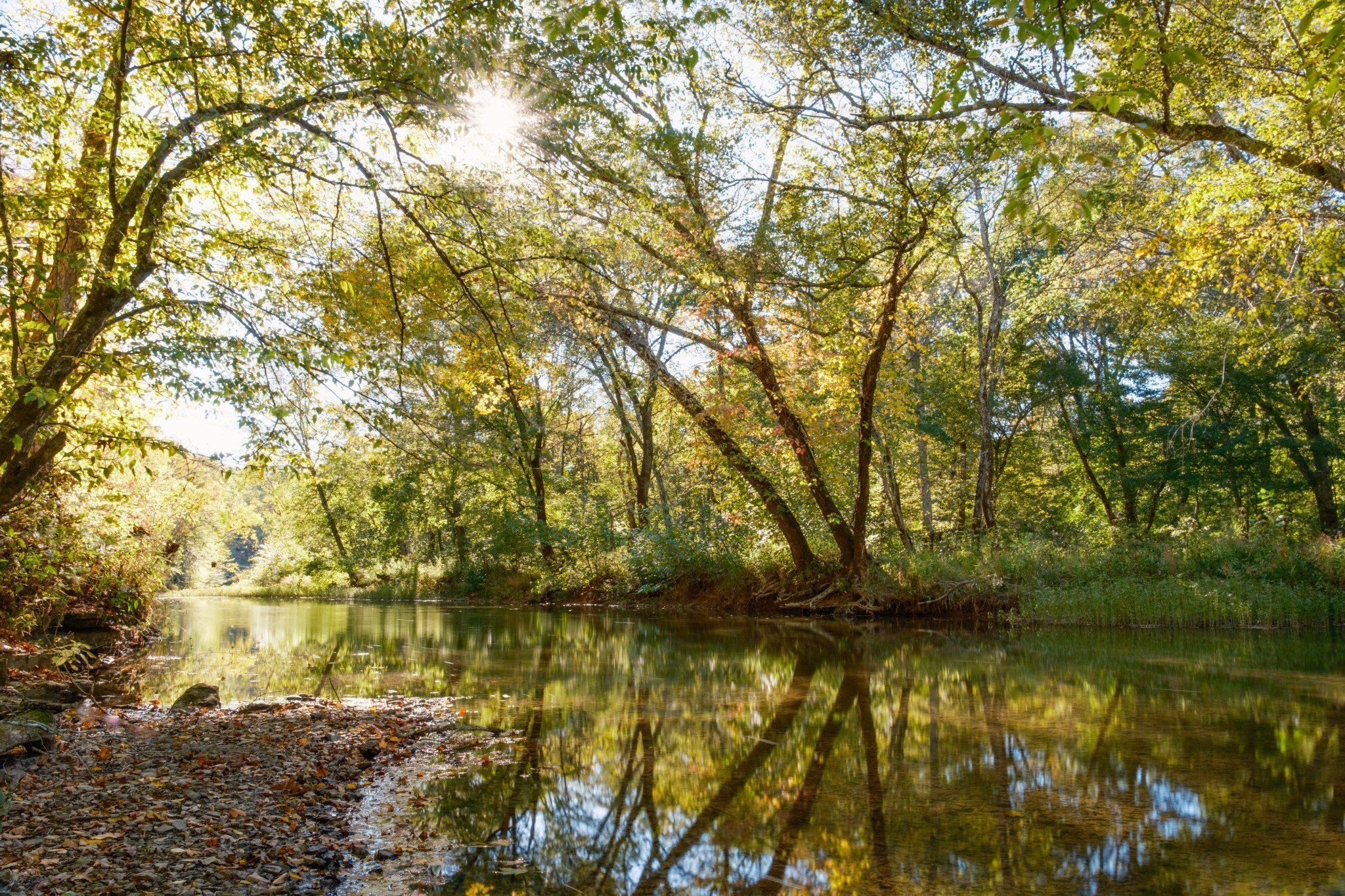170 Warriors Path Road Summertown, TN 38483 - Photo 25 of 69 a view of lake