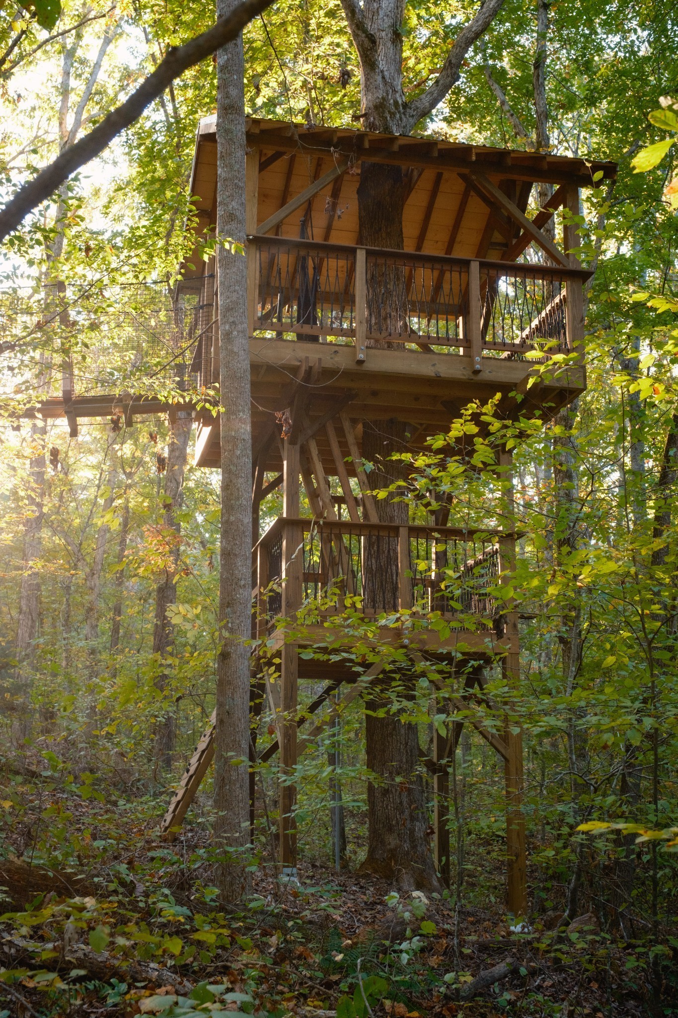 170 Warriors Path Road Summertown, TN 38483 - Photo 49 of 69