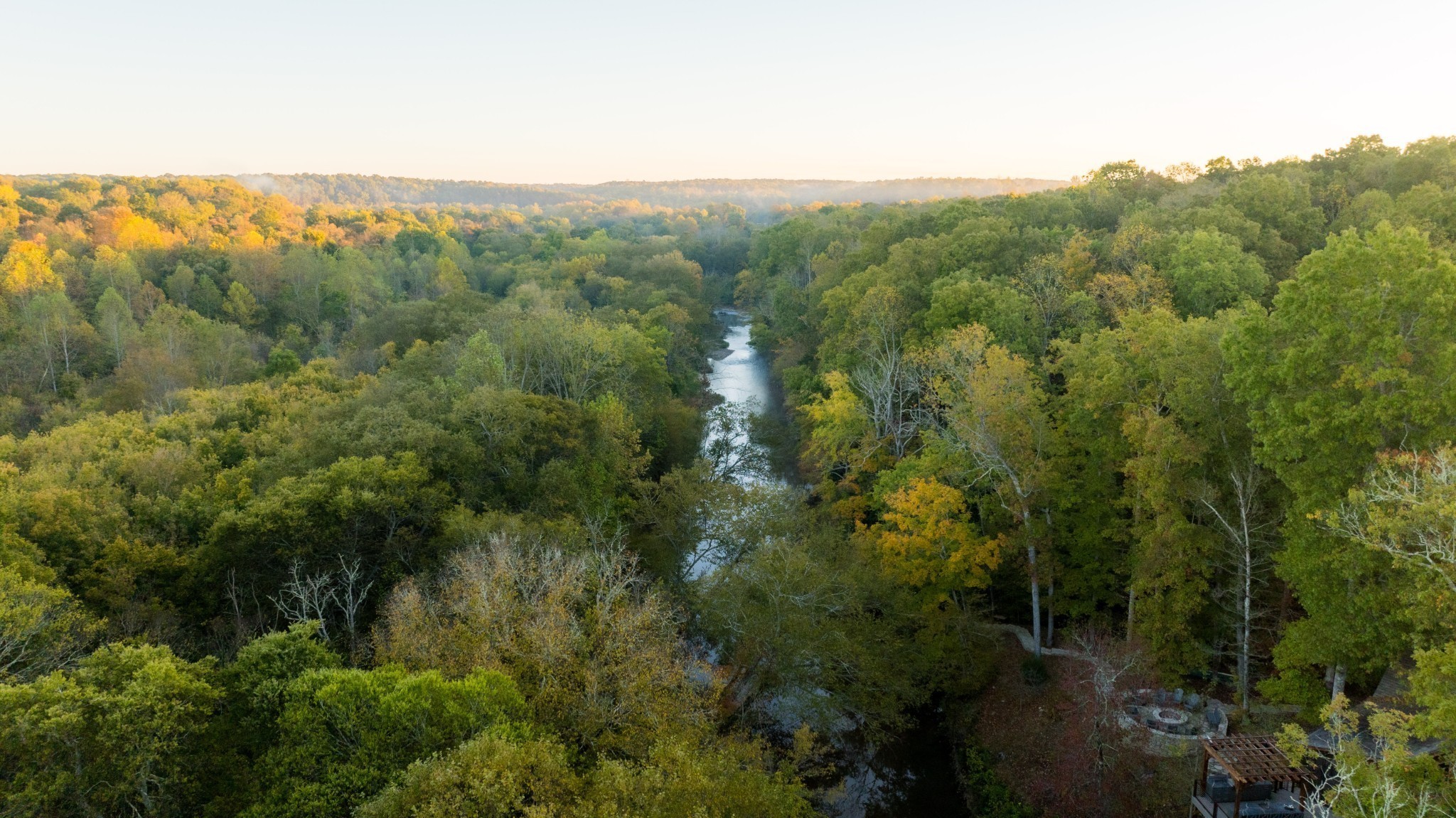 170 Warriors Path Road Summertown, TN 38483 - Photo 57 of 69 a view of a forest with a street