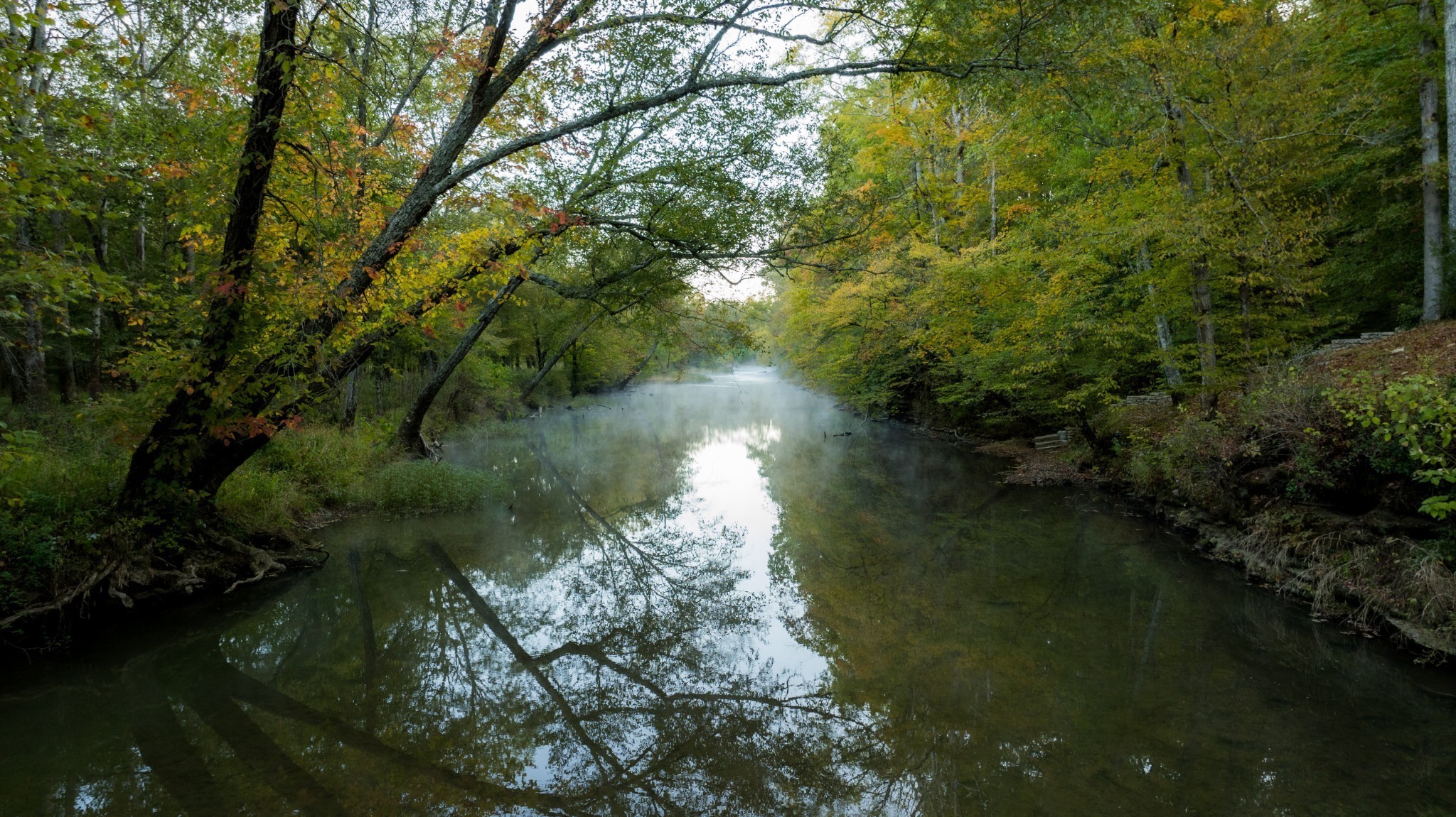 170 Warriors Path Road Summertown, TN 38483 - Photo 58 of 69