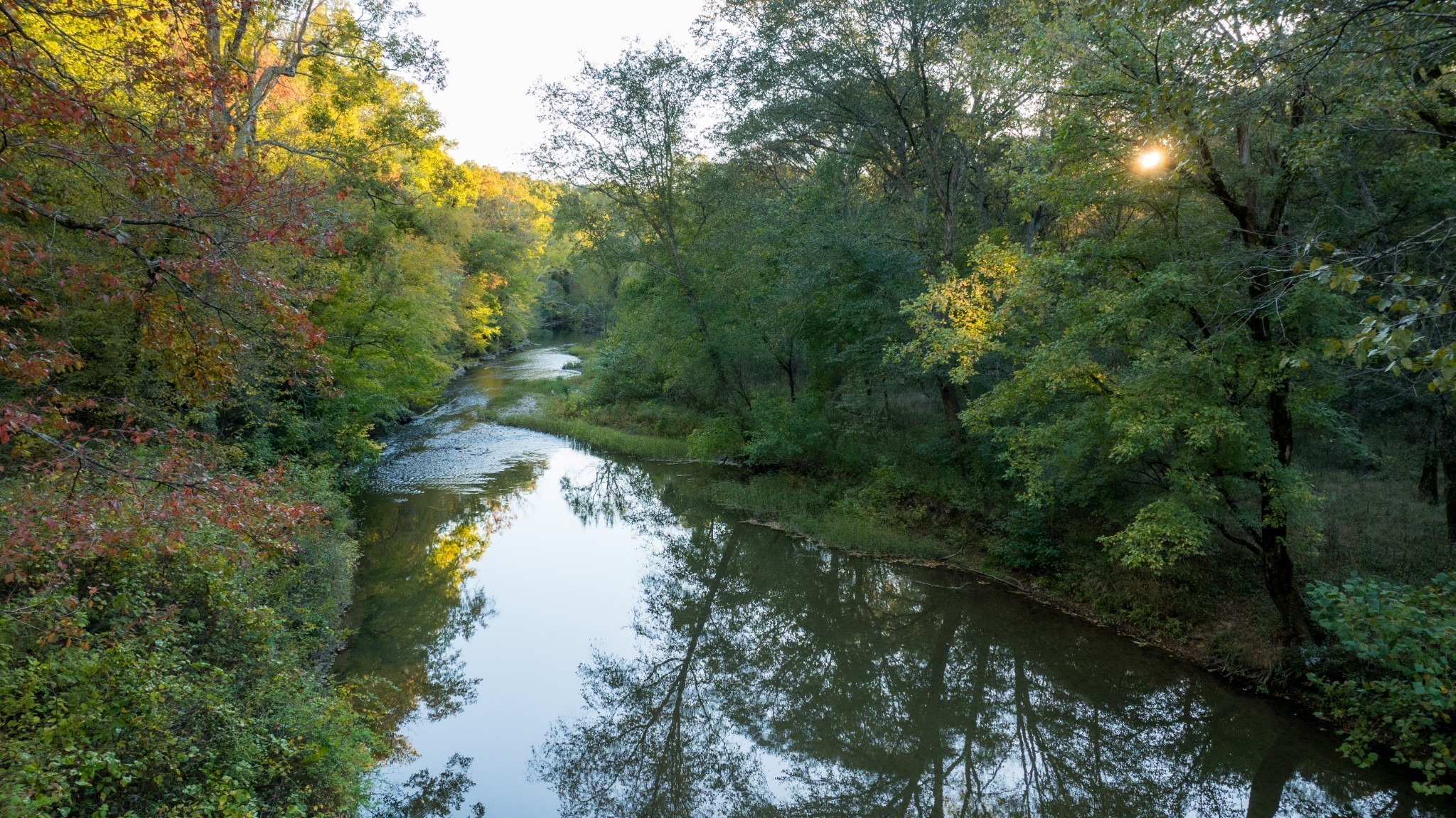 170 Warriors Path Road Summertown, TN 38483 - Photo 59 of 69 a view of a lake in middle of forest