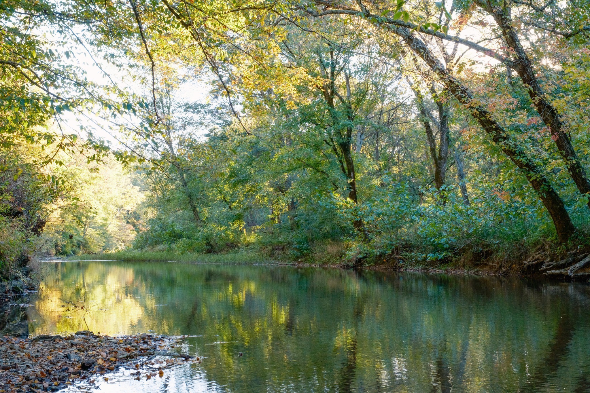 170 Warriors Path Road Summertown, TN 38483 - Photo 60 of 69 a view of a lake with a house in background