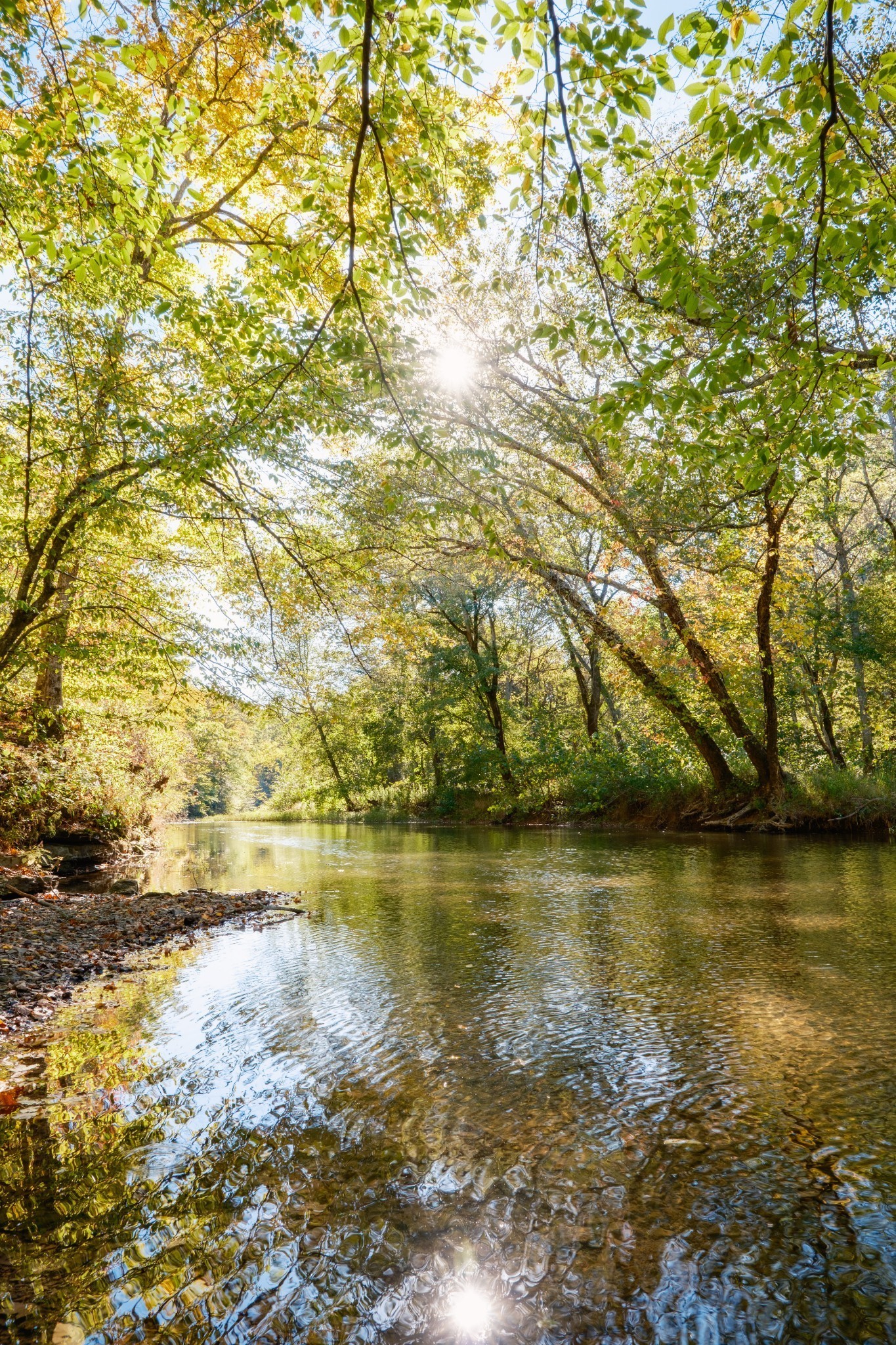 170 Warriors Path Road Summertown, TN 38483 - Photo 61 of 69 a view of a lake with a yard