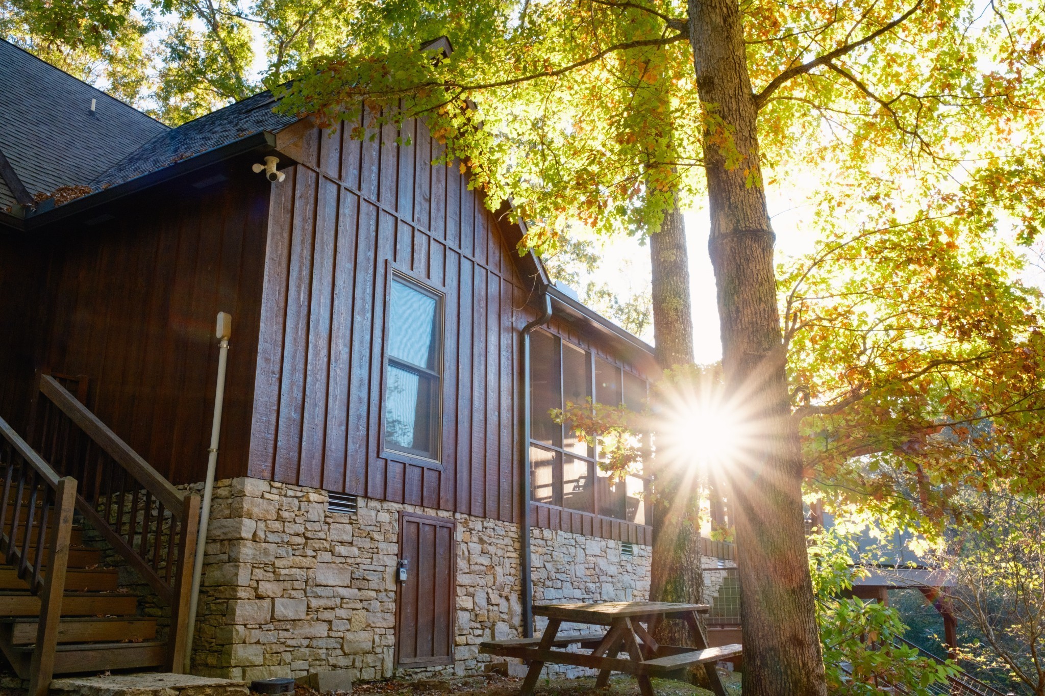 170 Warriors Path Road Summertown, TN 38483 - Photo 7 of 69 a view of backyard with cabin