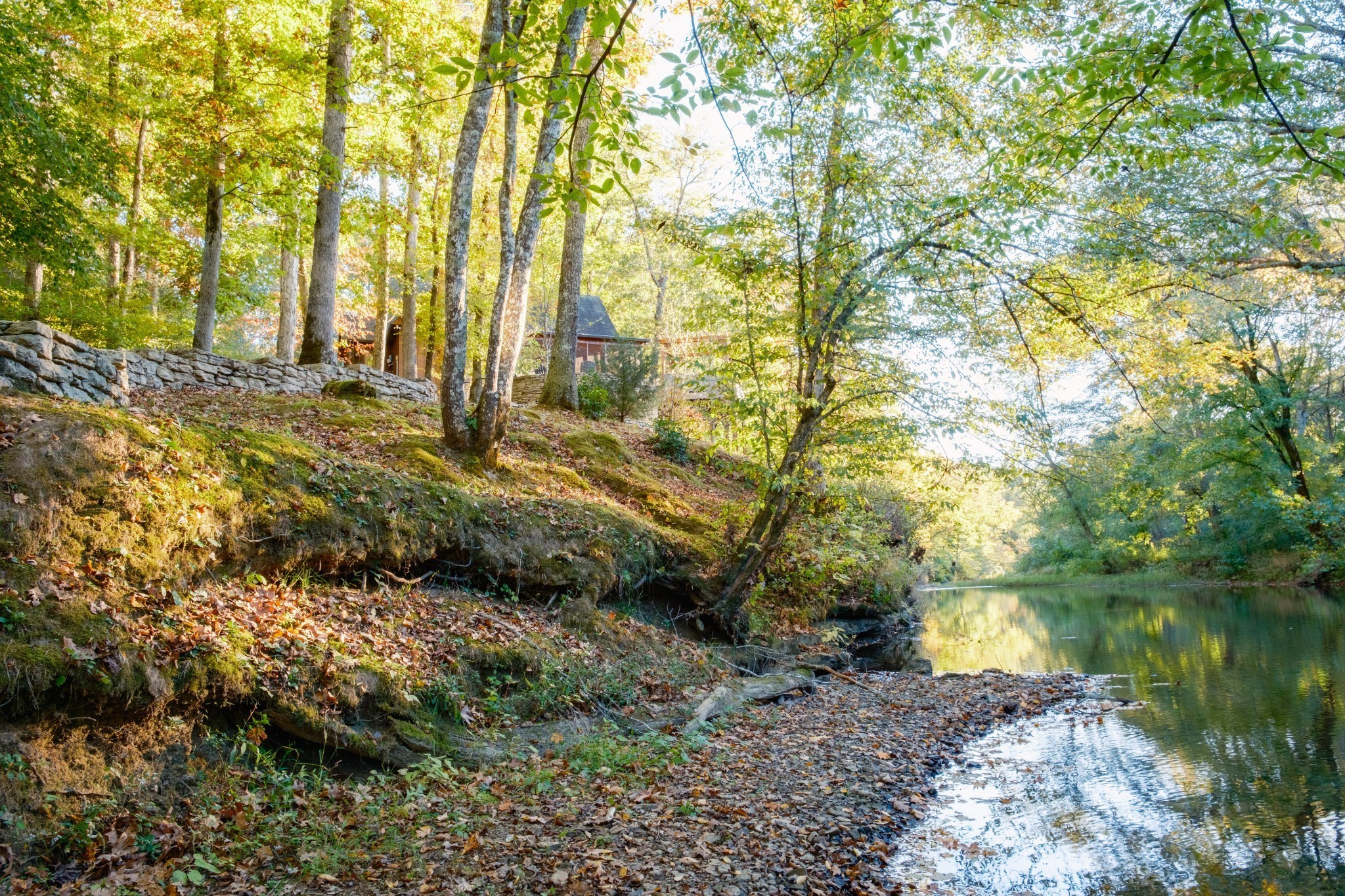 170 Warriors Path Road Summertown, TN 38483 - Photo 9 of 69