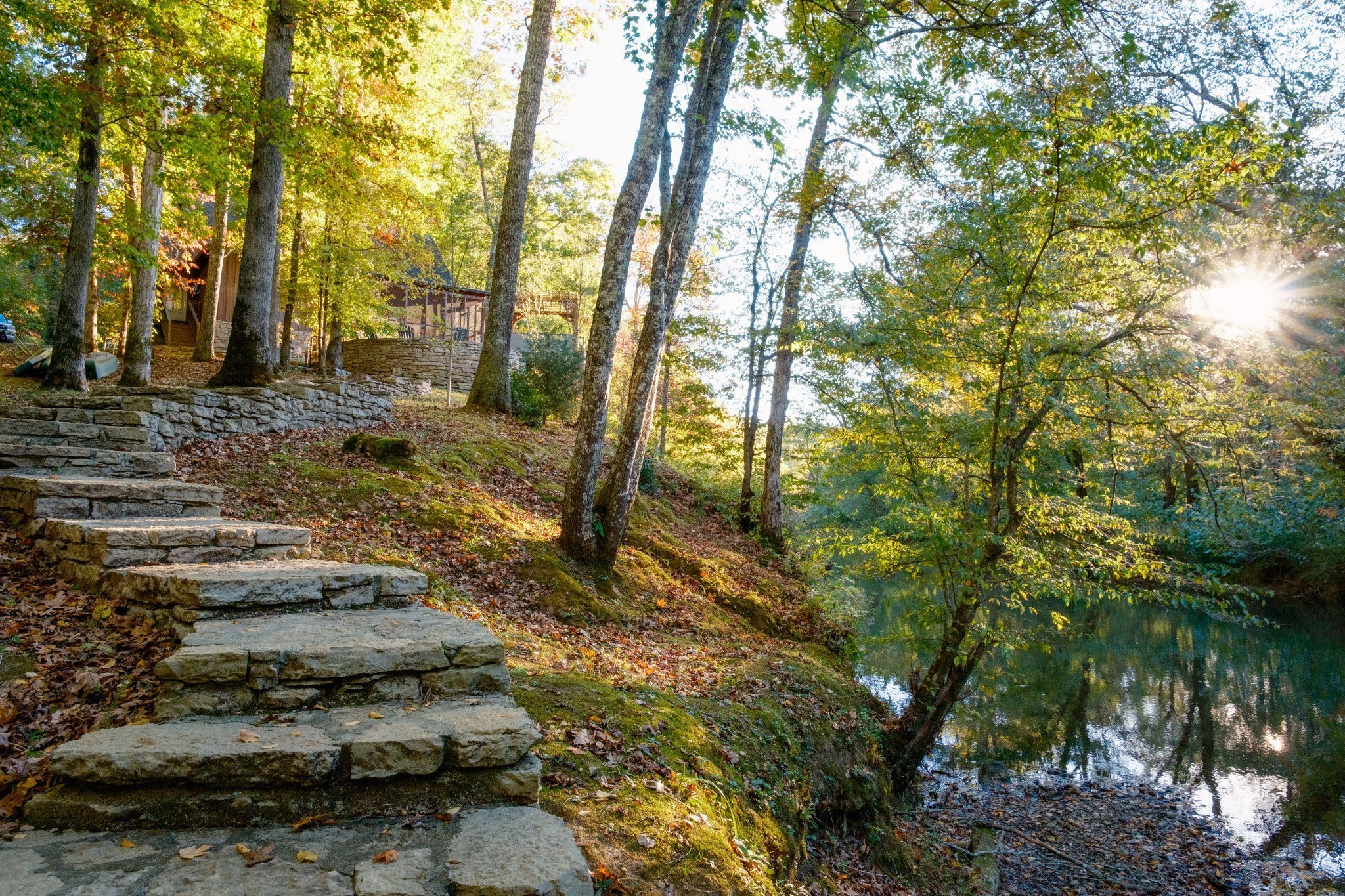 170 Warriors Path Road Summertown, TN 38483 - Photo 10 of 69 a backyard of a house with lots of green space