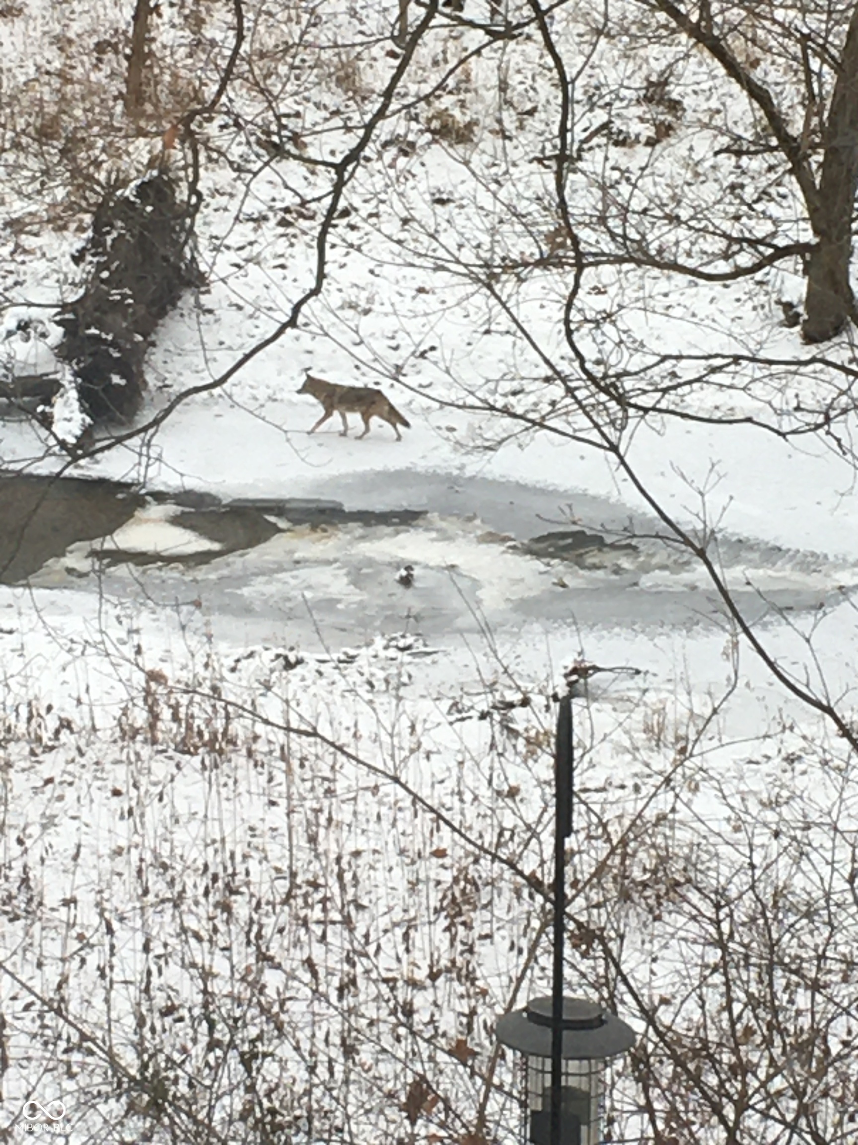 9825 Covington Boulevard Fishers, IN 46037 - Photo 19 of 59