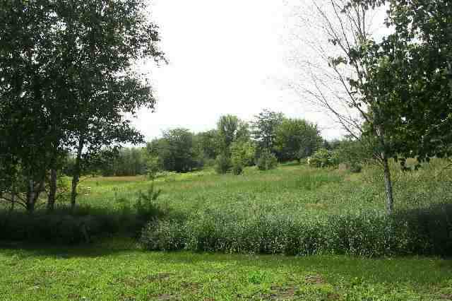 Tbd West Dunloggin Road Lena, IL 61048 - Photo 1 of 9 a view of a lush green space