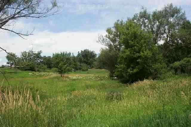 Tbd West Dunloggin Road Lena, IL 61048 - Photo 3 of 9 a view of a lush green space
