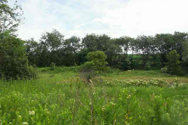 Tbd West Dunloggin Road Lena, IL 61048 - Photo 5 of 9 a view of a green field with lots of bushes