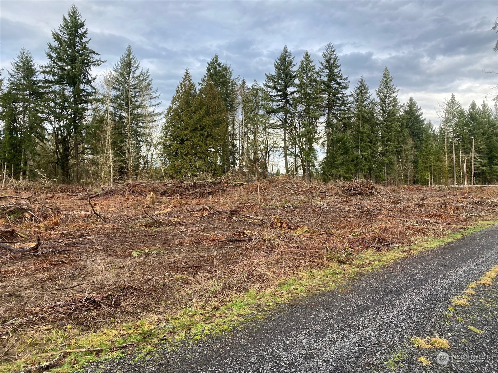 754 Highway 505, Unit A Winlock, WA 98596 - Photo 3 of 8 Gallery Image 3