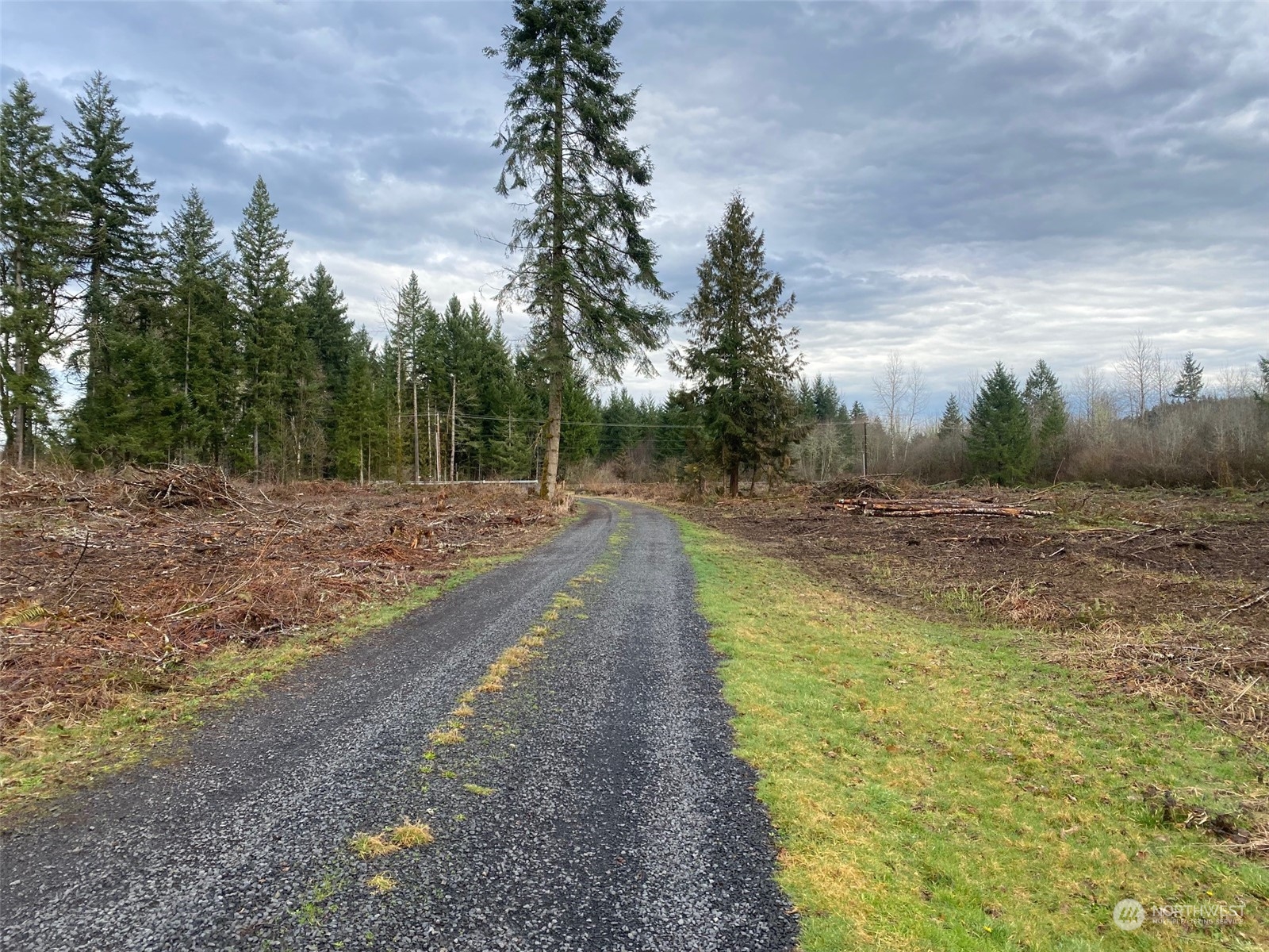 754 Highway 505, Unit A Winlock, WA 98596 - Photo 4 of 8 Gallery Image 4