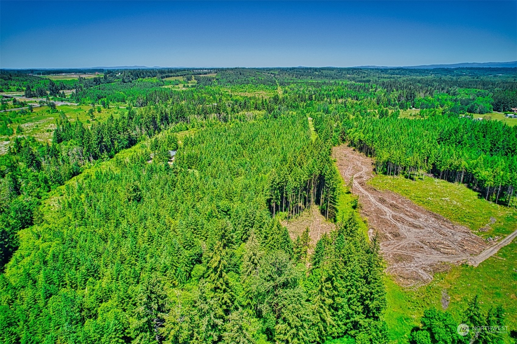 754 Highway 505, Unit A Winlock, WA 98596 - Photo 5 of 8 Gallery Image 5