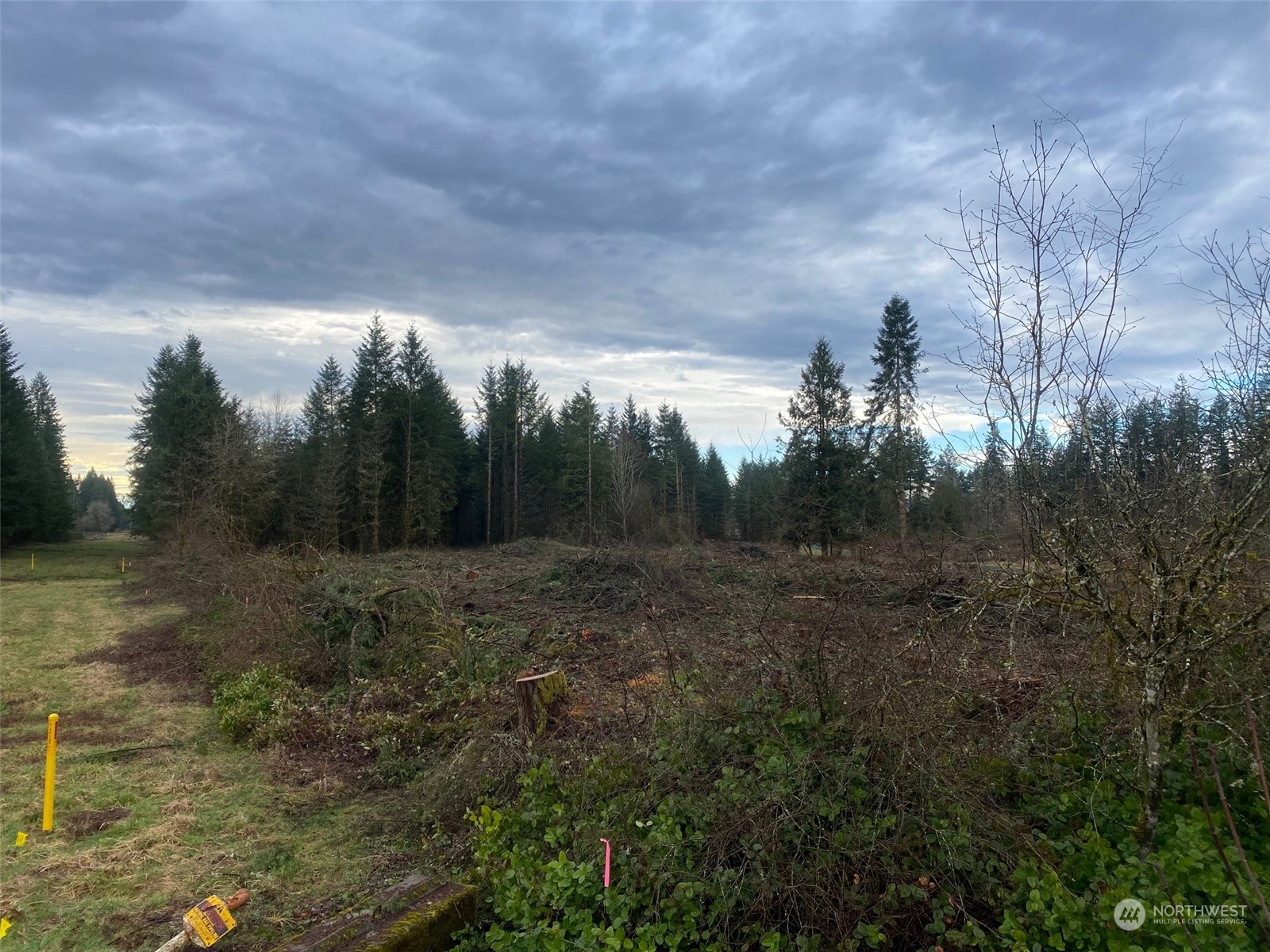754 Highway 505, Unit A Winlock, WA 98596 - Photo 6 of 8 Gallery Image 6