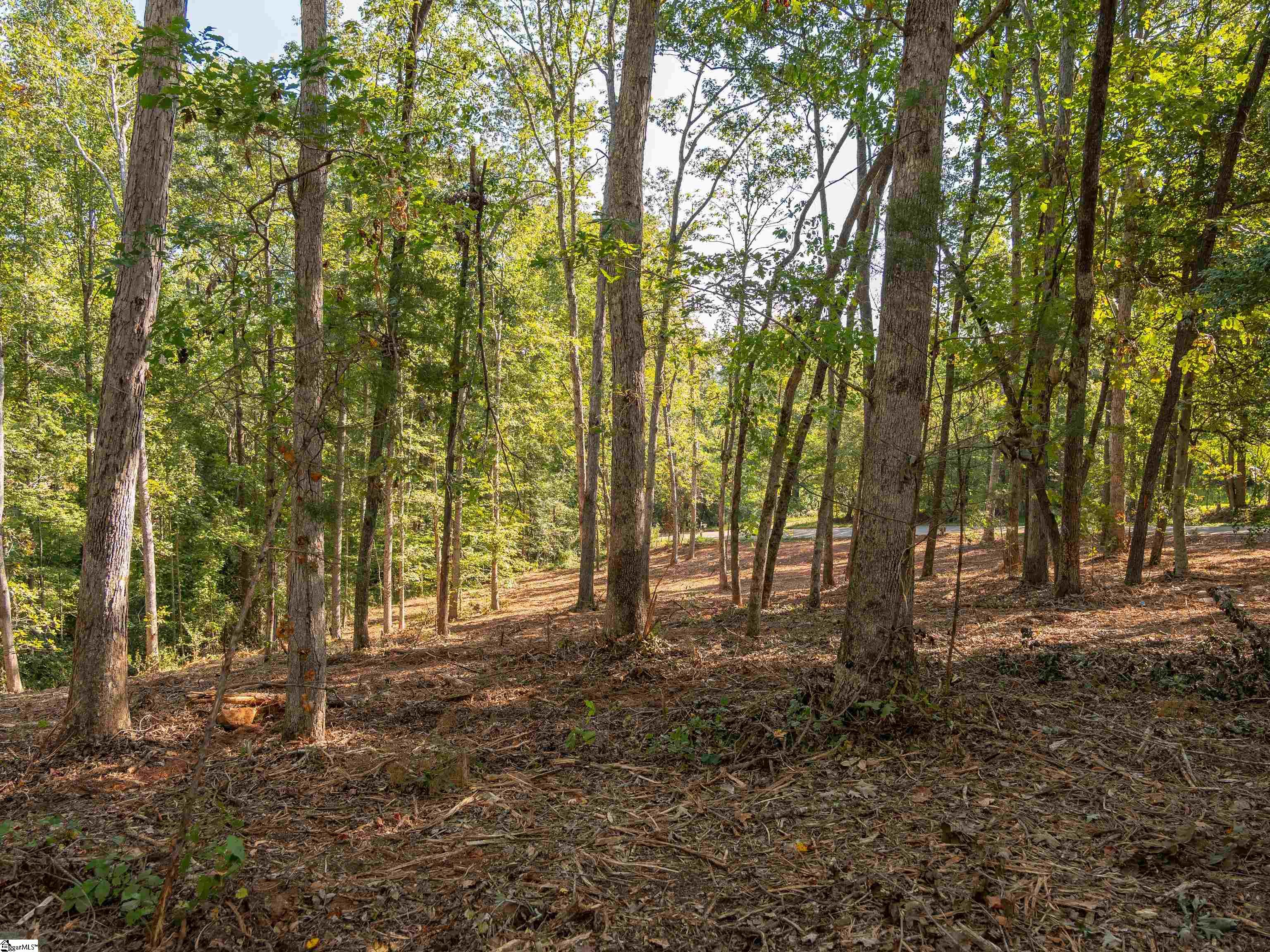 Gibson Road, Unit 1 Anderson, SC 29625 - Photo 11 of 20