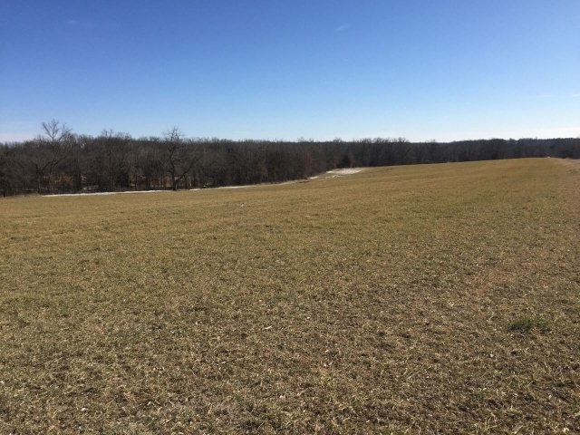 370 County Road New Bloomfield, MO 65063 - Photo 1 of 7